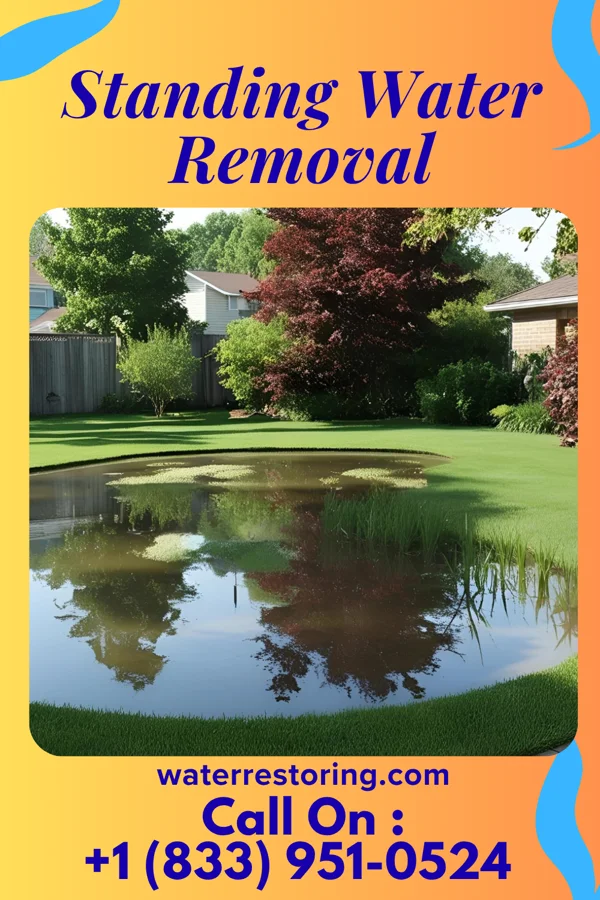 Standing Water Removal in Fredericksburg, OH